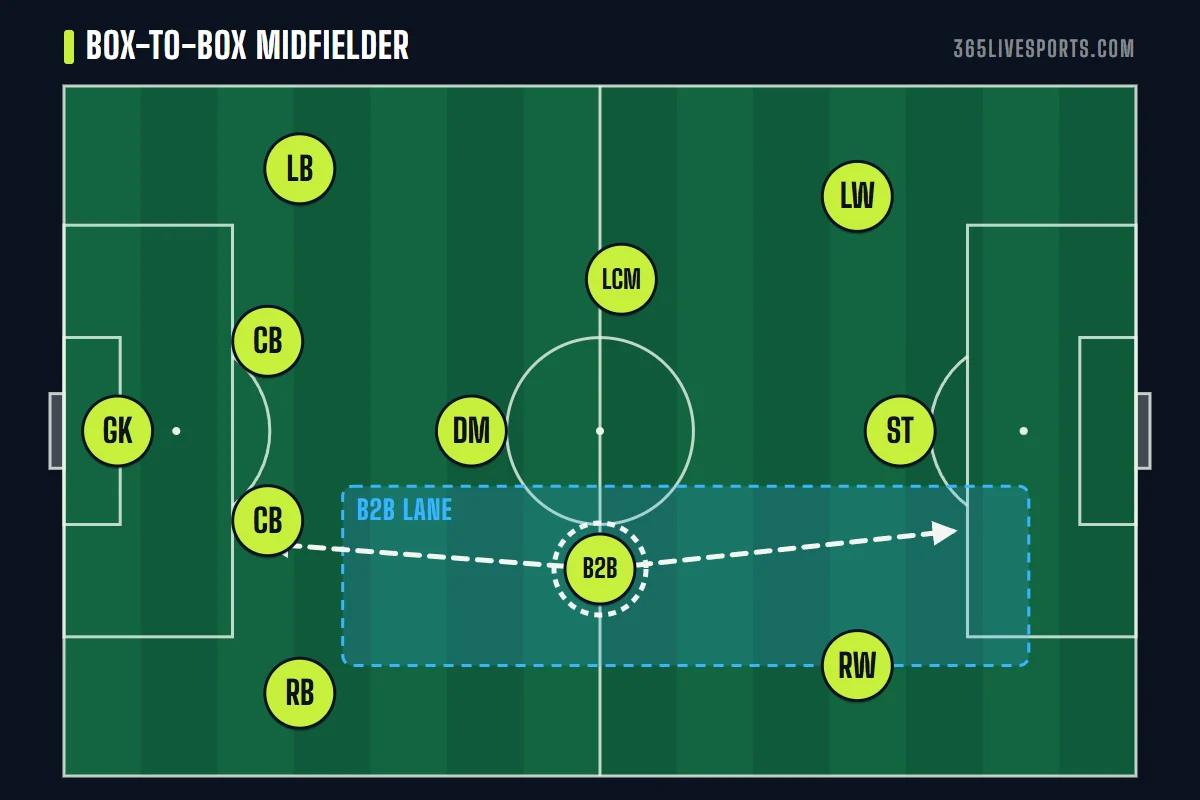 Box to box midfielder diagram: the B2B in a 4-3-3 covering the length of the pitch from box to box